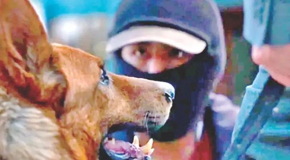 #BOLIVIA LA BOLIVIANA «EL LADRÓN DE PERROS» GANA EL PLATINO PARA MEJOR ÓPERA PRIMA