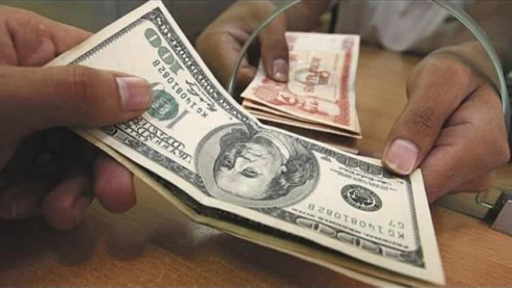 Economista: Sueldo mínimo no llega ni a $us 200 por dólar paralelo