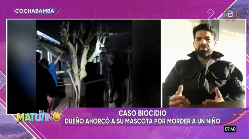 En Cochabamba, un hombre ahorca a su perro por haber mordido a un niño