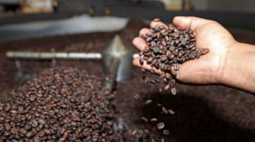 Bolivia exportó más de 27.000 toneladas de café por $us 108 millones en los últimos 10 años