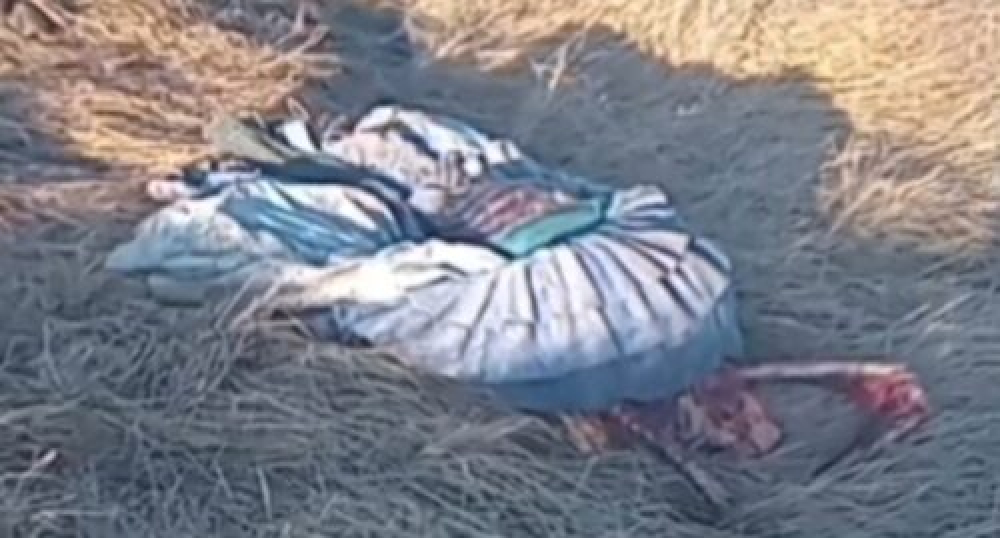 En La Paz, la Policía rescata el cuerpo de una mujer que era devorada por animales