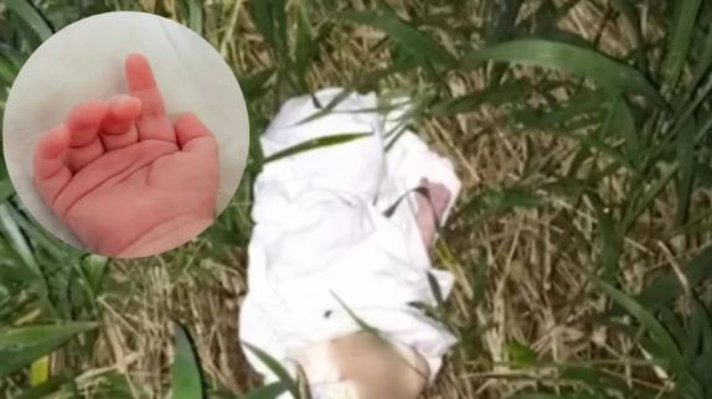 ¡Atroz! Hallan medio cuerpo de un bebé tirado en la puerta de una casa en Viacha