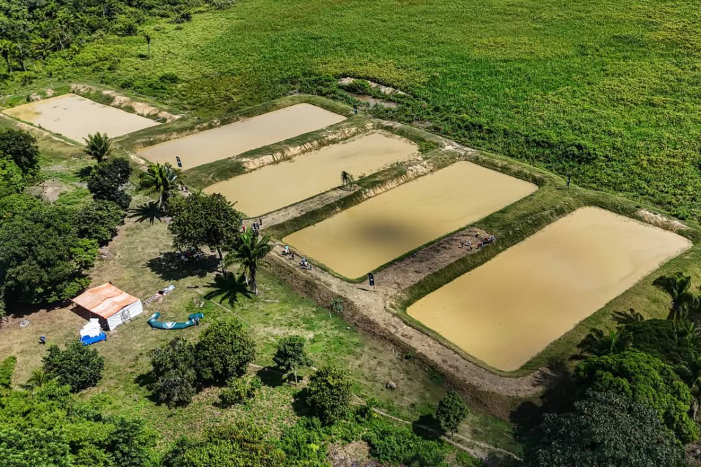 Beni: En Reyes entregan 20 pozas de producción piscícola