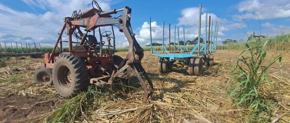 Santa Cruz: Falta diésel para encarar la zafra; hay más de 180.000 hectáreas de caña y 20.000 empleos en riesgo