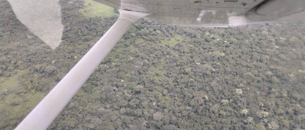 “Trabajaremos hasta rescatar a sus tripulantes”: Arce ordena operativo para hallar la avioneta perdida en Beni