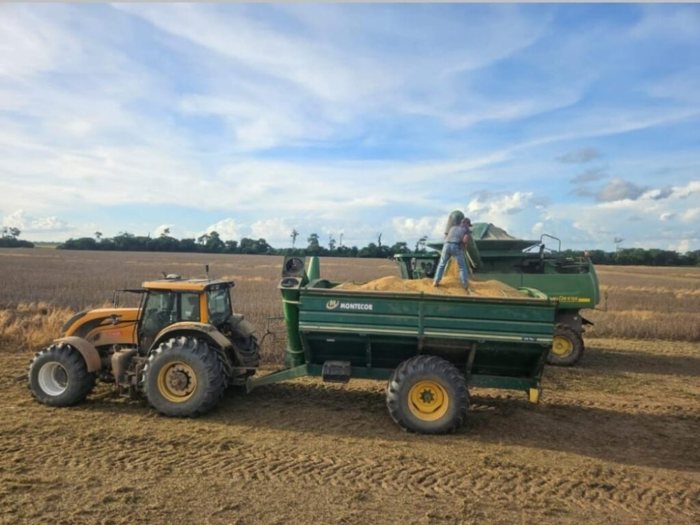 El cupo de exportación de soya favorecerá a los acopiadores e intermediarios, alerta ANAPO