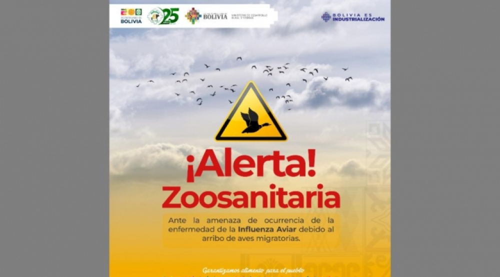 Alerta zoosanitaria en Bolivia por amenaza de gripe aviar proveniente de Brasil