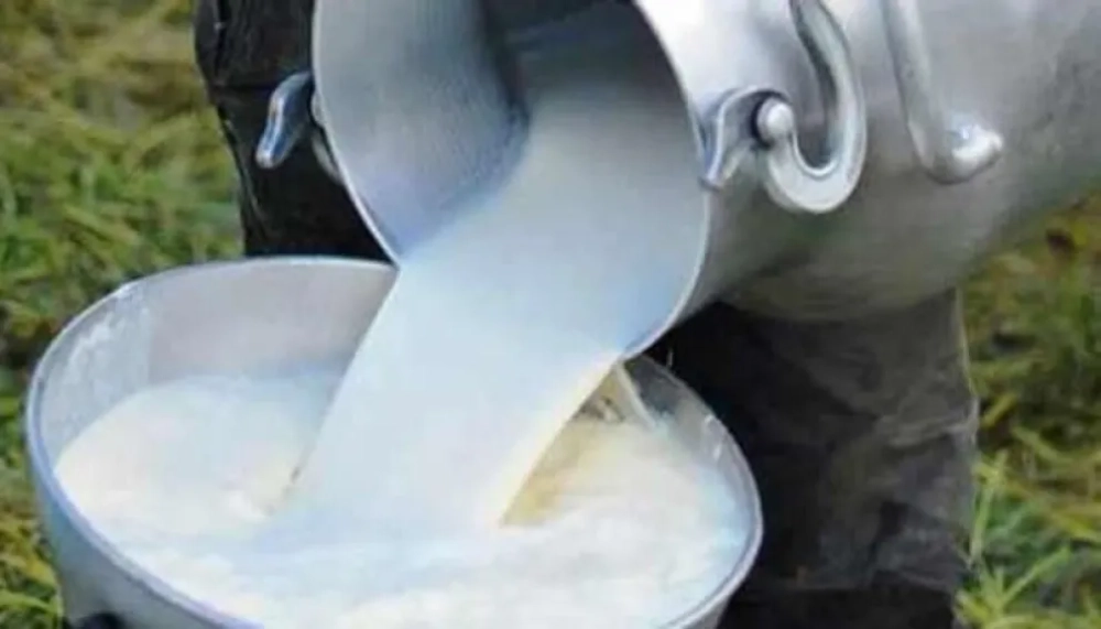 Hay molestia por el alza del litro de la leche a Bs 6,80
